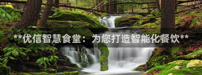 尊龙人生就是博AG