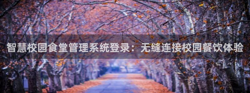 尊龙t300和t400哪个好：智慧校园食堂管理系统登录：无缝