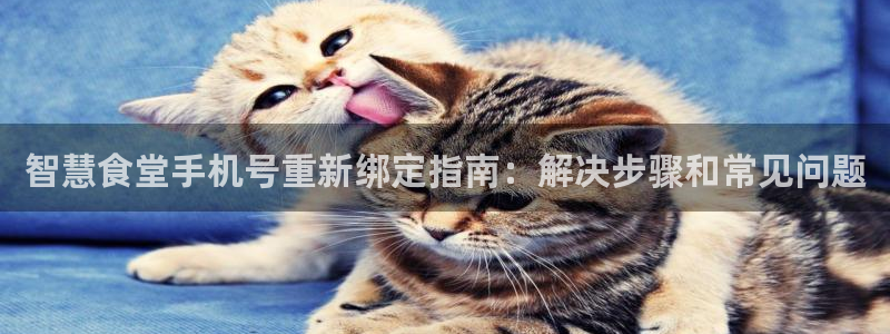 尊龙凯时取钱很慢