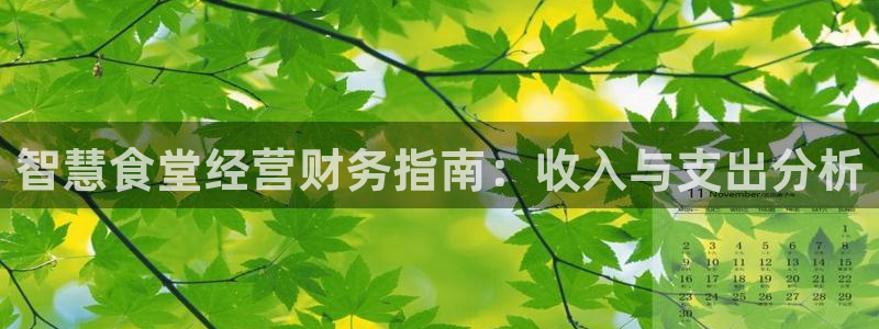 尊龙凯时登录：智慧食堂经营财务指南：收入与支出分析