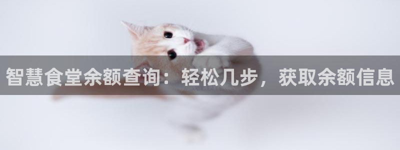 尊龙d88官网赢来就送38：智慧食堂余额查询：轻松几步，获取