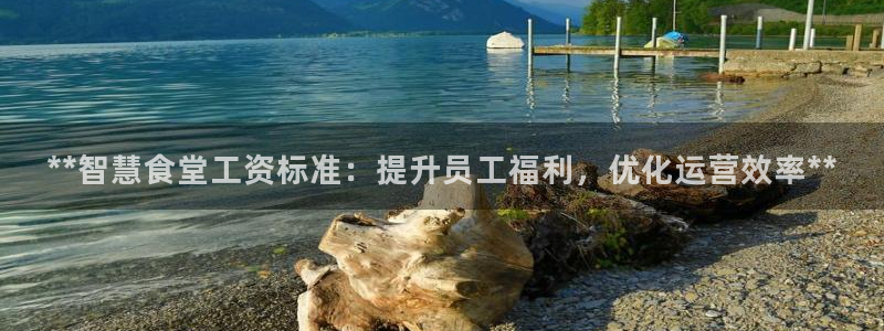 尊龙集团官网：**智慧食堂工资标准：提升员工福利，优化运营效