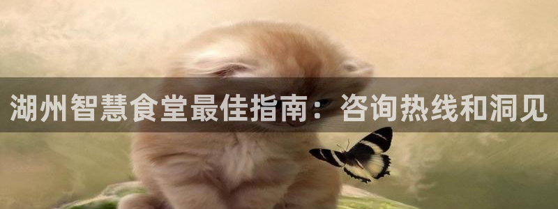 尊龙凯时网娱乐最新版