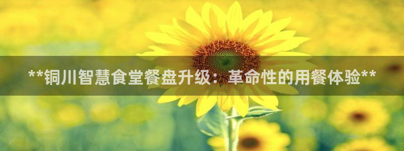 尊龙d88官网新版