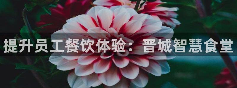 尊龙手机客户端app：提升员工餐饮体验：晋城智慧食堂