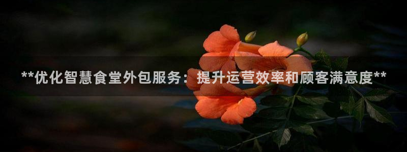 尊龙凯时最新平台登陆：**优化智慧食堂外包服务：提升运营效率