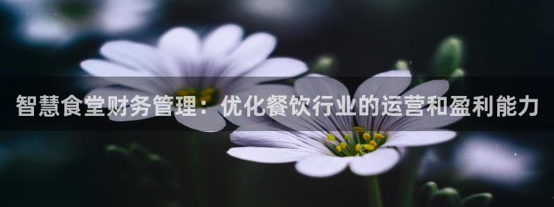 尊龙凯时企业文化：智慧食堂财务管理：优化餐饮行业的运营和盈利
