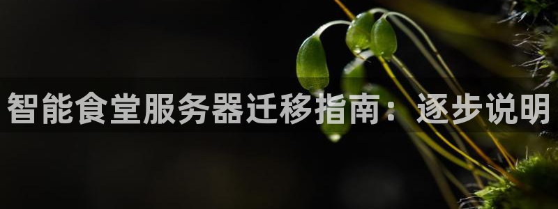 尊龙d88官网新版：智能食堂服务器迁移指南：逐步说明