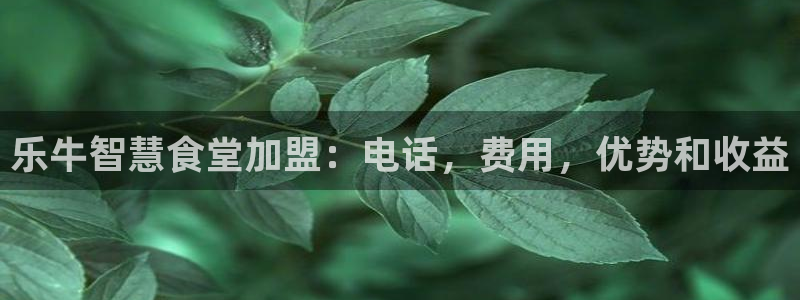 尊龙凯时d5138：乐牛智慧食堂加盟：电话，费用，优势和收益