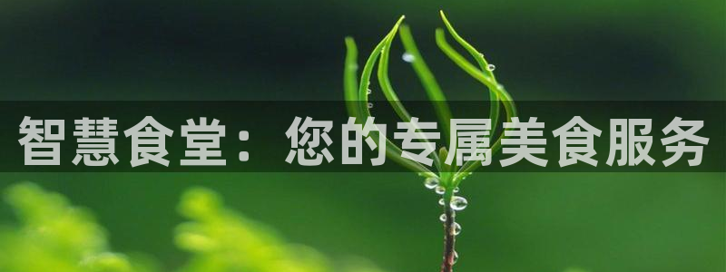 尊龙凯时是大平台吗