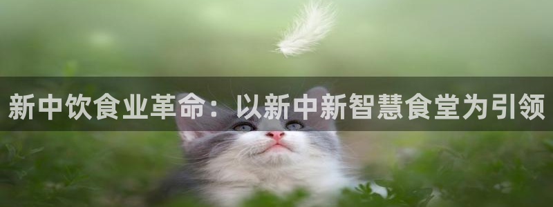 d88尊龙官方网