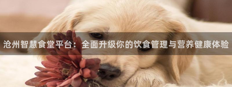 尊龙游戏app官方网站