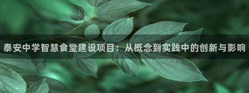 尊龙官网网页版