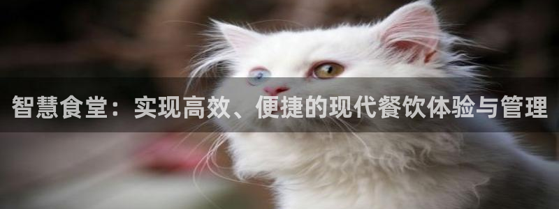 尊龙人生就是博d88 - Z6尊龙官方网站