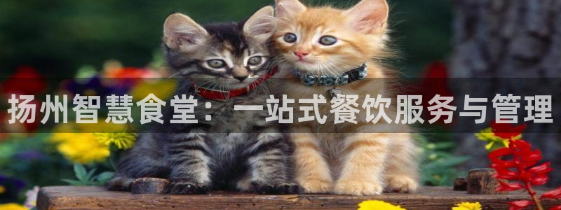 Z6尊龙凯时登录