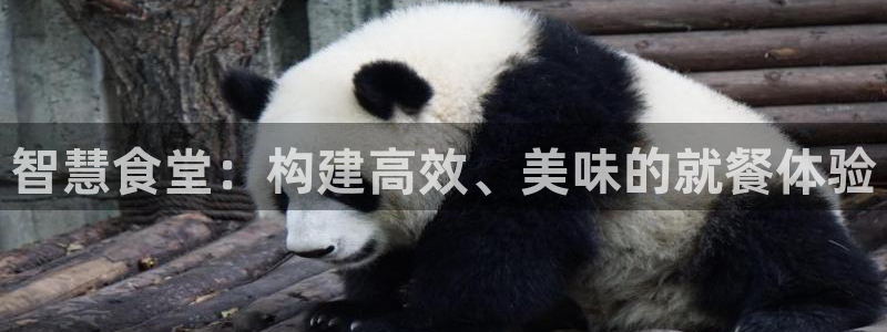 尊龙凯时官方网页