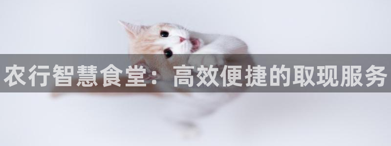 凯时kb88kb88