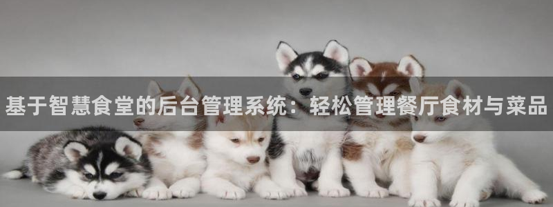 尊龙d88现金旧版本