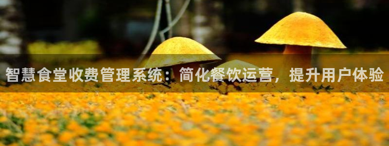 凯时ag旗舰厅登录：智慧食堂收费管理系统：简化餐饮运营，提升