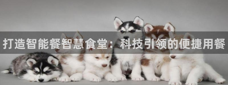 尊龙凯时注册入口